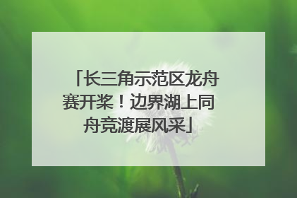 长三角示范区龙舟赛开桨！边界湖上同舟竞渡展风采