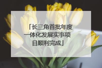 长三角首批年度一体化发展实事项目顺利完成