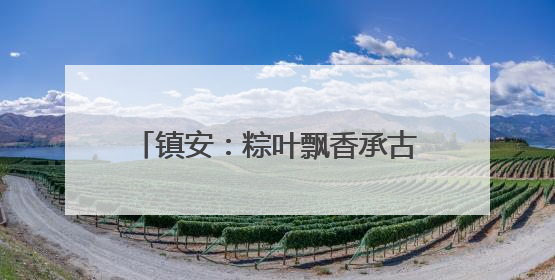 镇安：粽叶飘香承古韵 志愿传情暖端午