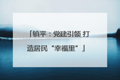 镇平：党建引领 打造居民“幸福里”