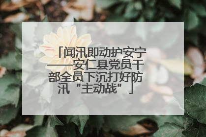 闻汛即动护安宁——安仁县党员干部全员下沉打好防汛“主动战”