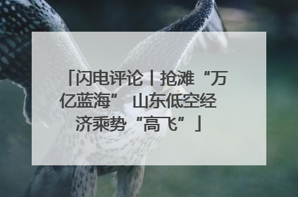 闪电评论丨抢滩“万亿蓝海” 山东低空经济乘势“高飞”