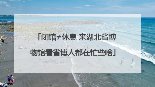 闭馆≠休息 来湖北省博物馆看省博人都在忙些啥