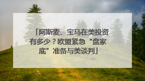 阿斯麦、宝马在美投资有多少？欧盟紧急“盘家底”准备与美谈判