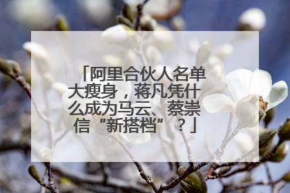 阿里合伙人名单大瘦身，蒋凡凭什么成为马云、蔡崇信“新搭档”？