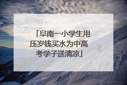 阜南一小学生用压岁钱买水为中高考学子送清凉