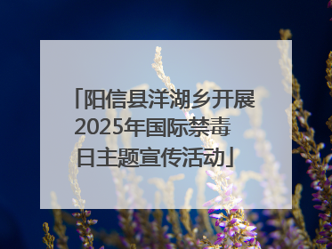 阳信县洋湖乡开展2025年国际禁毒日主题宣传活动