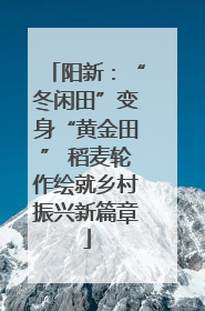 阳新：“冬闲田”变身“黄金田” 稻麦轮作绘就乡村振兴新篇章
