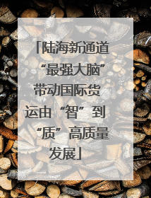 陆海新通道“最强大脑” 带动国际货运由“智”到“质”高质量发展
