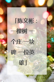 陈文彬：一棵树 一个庄 一块碑 一位英雄