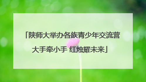陕师大举办各族青少年交流营 大手牵小手 红烛耀未来