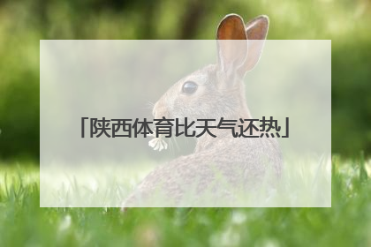 陕西体育比天气还热