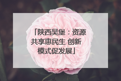 陕西吴堡：资源共享惠民生 创新模式促发展