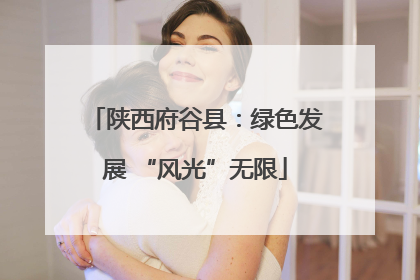 陕西府谷县：绿色发展 “风光”无限