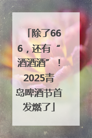 除了666，还有“酒酒酒”！2025青岛啤酒节首发燃了