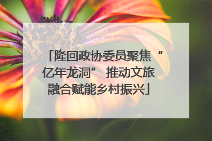 隆回政协委员聚焦“亿年龙洞” 推动文旅融合赋能乡村振兴