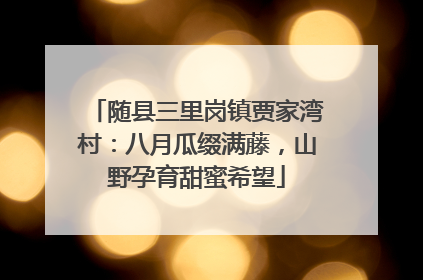 随县三里岗镇贾家湾村：八月瓜缀满藤，山野孕育甜蜜希望