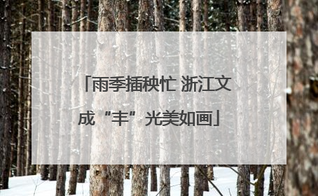 雨季插秧忙 浙江文成“丰”光美如画