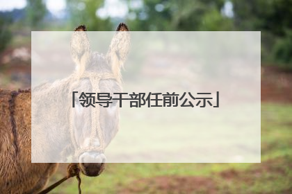 领导干部任前公示
