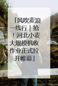 风吹麦浪一线行｜抢！河北小麦大规模机收作业正式拉开帷幕