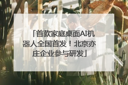 首款家庭桌面AI机器人全国首发！北京亦庄企业参与研发