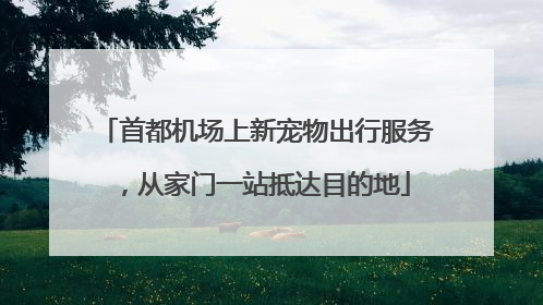 首都机场上新宠物出行服务，从家门一站抵达目的地
