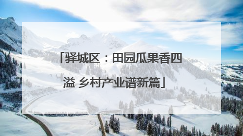 驿城区：田园瓜果香四溢 乡村产业谱新篇