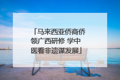 马来西亚侨商侨领广西研修 学中医看非遗谋发展