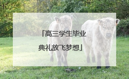 高三学生毕业典礼放飞梦想