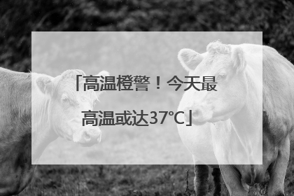 高温橙警！今天最高温或达37℃