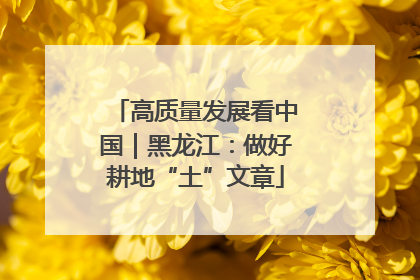 高质量发展看中国｜黑龙江：做好耕地“土”文章