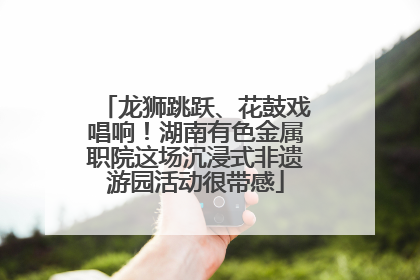 龙狮跳跃、花鼓戏唱响！湖南有色金属职院这场沉浸式非遗游园活动很带感