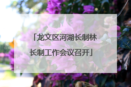 龙文区河湖长制林长制工作会议召开
