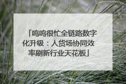 鸣鸣很忙全链路数字化升级：人货场协同效率刷新行业天花板