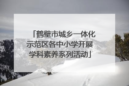 鹤壁市城乡一体化示范区各中小学开展学科素养系列活动