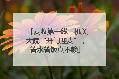 麦收第一线｜机关大院“开门迎麦”，管水管饭真不赖