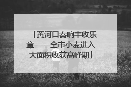 黄河口奏响丰收乐章——全市小麦进入大面积收获高峰期