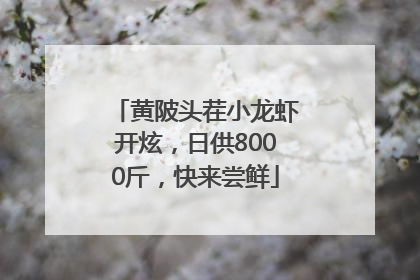 黄陂头茬小龙虾开炫，日供8000斤，快来尝鲜