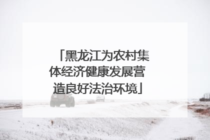 黑龙江为农村集体经济健康发展营造良好法治环境
