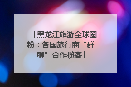 黑龙江旅游全球圈粉：各国旅行商“群聊”合作揽客