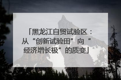 黑龙江自贸试验区：从“创新试验田”向“经济增长极”的质变