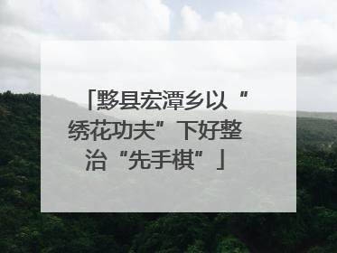 黟县宏潭乡以“绣花功夫”下好整治“先手棋”