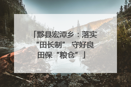 黟县宏潭乡：落实“田长制” 守好良田保“粮仓”