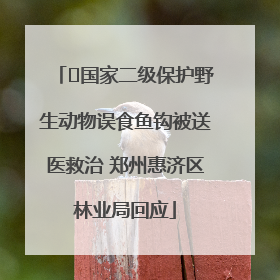 ﻿国家二级保护野生动物误食鱼钩被送医救治 郑州惠济区林业局回应