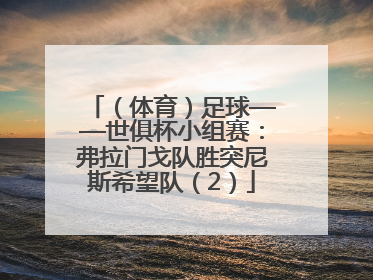 （体育）足球——世俱杯小组赛：弗拉门戈队胜突尼斯希望队（2）