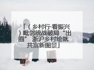 （乡村行·看振兴）毗邻统战破局“出圈” 浙沪乡村绘就共富新图景