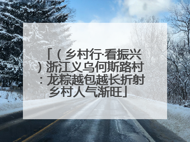 （乡村行·看振兴）浙江义乌何斯路村：龙粽越包越长折射乡村人气渐旺