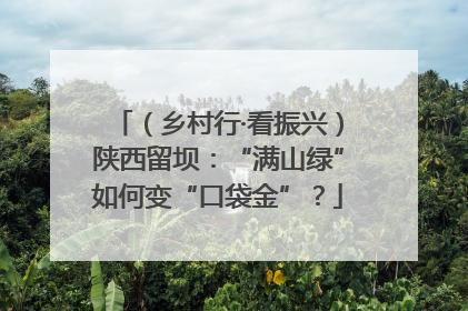 （乡村行·看振兴）陕西留坝：“满山绿”如何变“口袋金”？