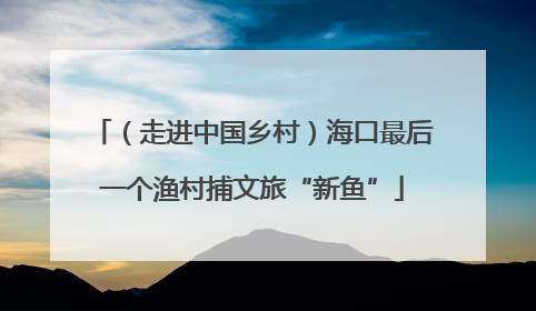 （走进中国乡村）海口最后一个渔村捕文旅“新鱼”