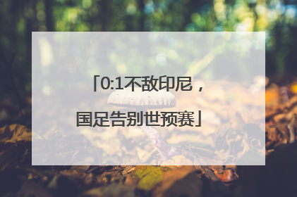 0:1不敌印尼，国足告别世预赛